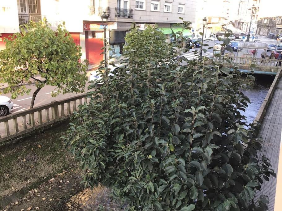 Apartamento Hyp - D'auga *